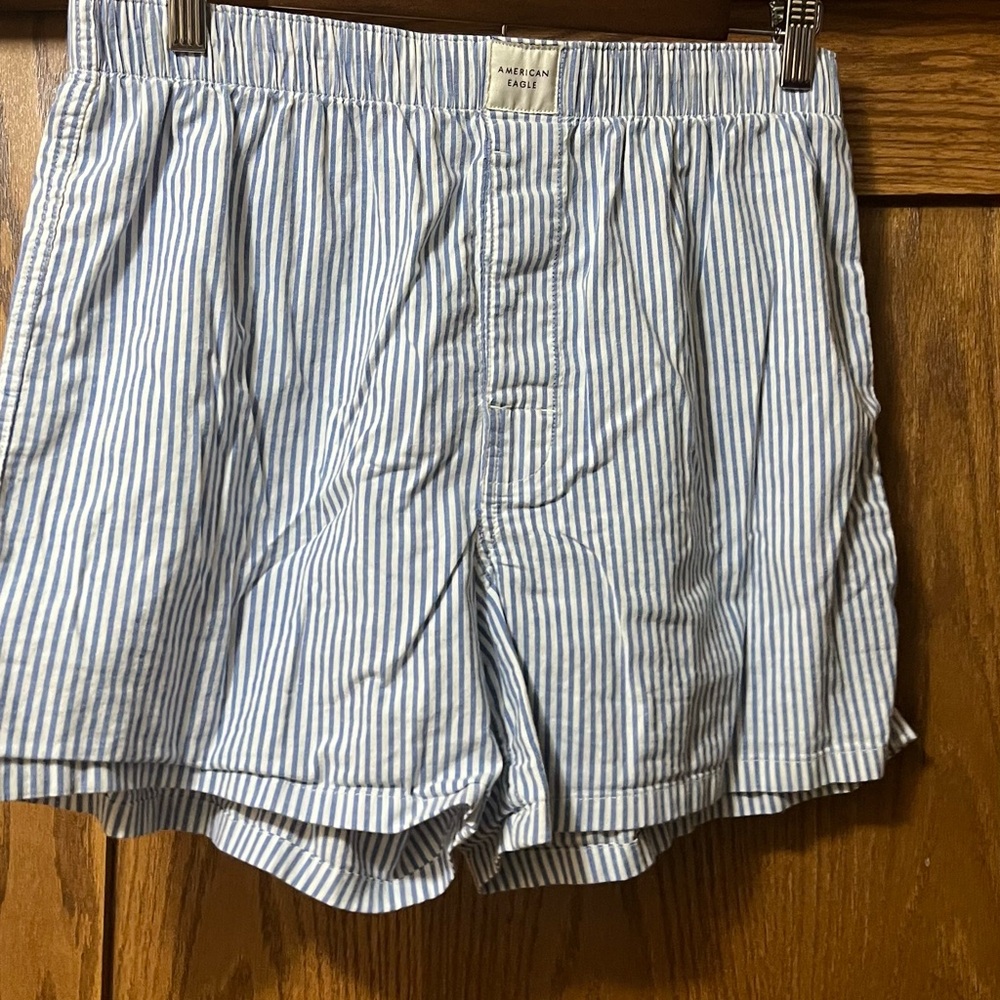 American Eagle Outfitters Light Blue Striped Boxers